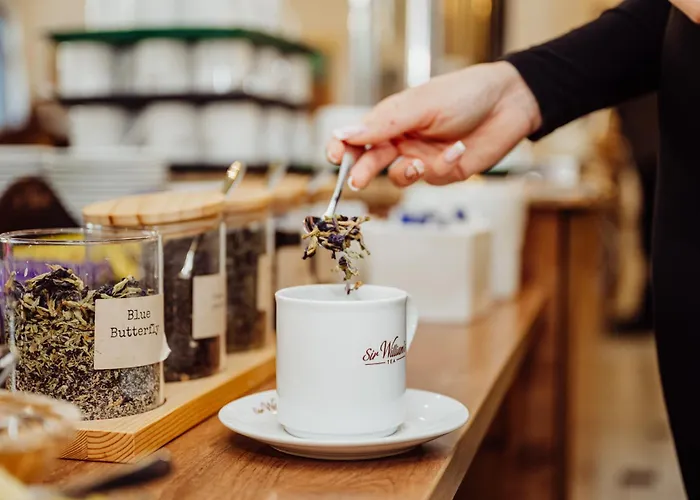 Hotel Buczynski Medical & 4*